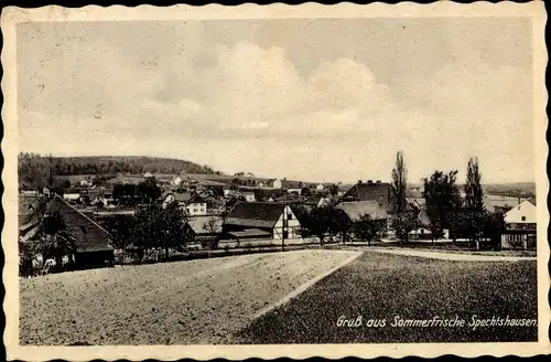 Ak Spechtshausen Hartha Hintergersdorf Tharandt im Erzgebirge, Teilansicht
