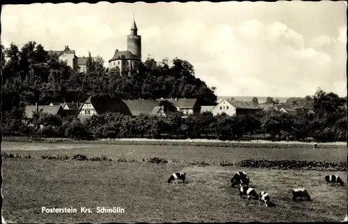 Ak Posterstein im Altenburger Land, Burg Posterstein, Ortsansicht, weidende Kühe