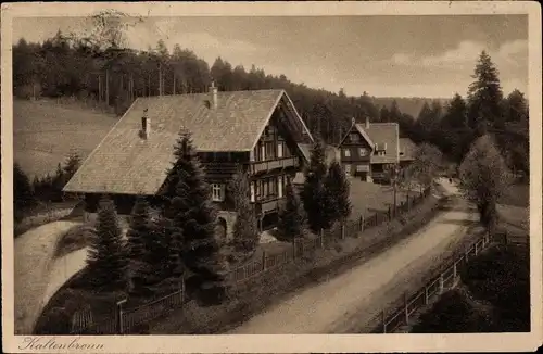Ak Kaltenbronn Gernsbach im Murgtal Schwarzwald, Häusergruppe