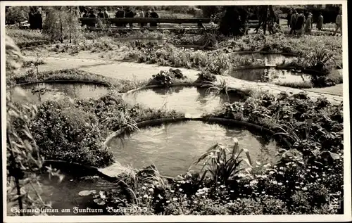 Ak Berlin Charlottenburg Westend, Sommerblumen am Funkturm 1935