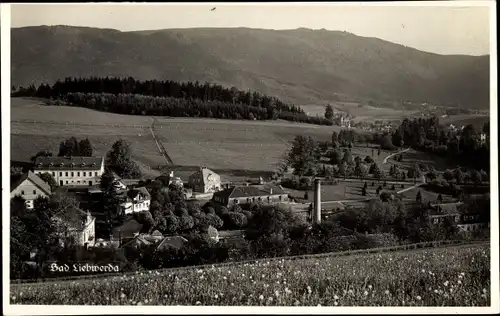 Ak Lázně Libverda Bad Liebwerda Region Reichenberg, Teilansicht