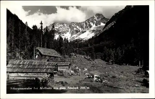 Ak Mallnitz in Kärnten, Schwussnerhütte, Schwussneralm