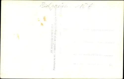 Ak Bulgarien, Salondampfer am Anleger