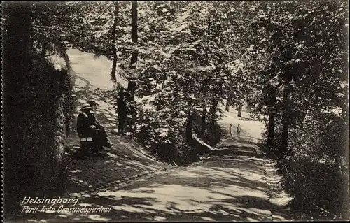 Ak Hälsingborg Helsingborg Schweden, Parti fran Oresundsparken