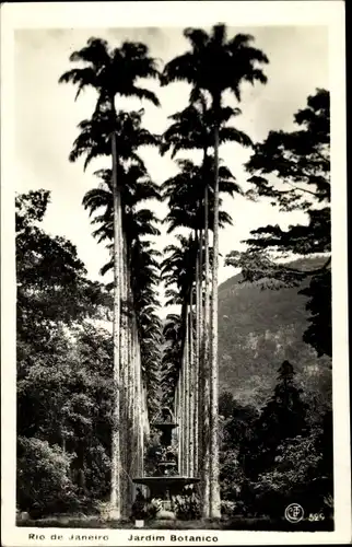 Ak Rio de Janeiro Brasilien, Jardim Botanico