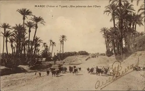 Ak Marokko, Scenes et Types du Maroc, Une palmeraie dans l'Oasis
