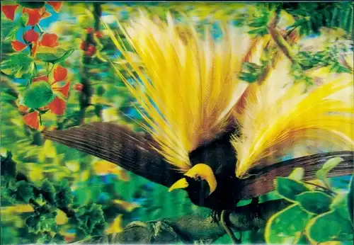 3-D Ak A Bird of Paradise, gelber Paradiesvogel auf einem Ast, Blüten, Blätter, ausgebreitete Flügel