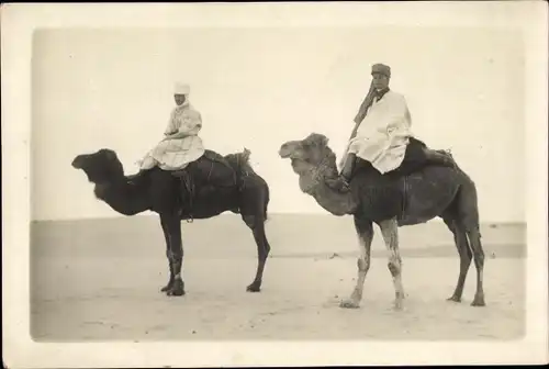 Foto Ak Männer auf Kamelen reitend, Maghreb, Wüste