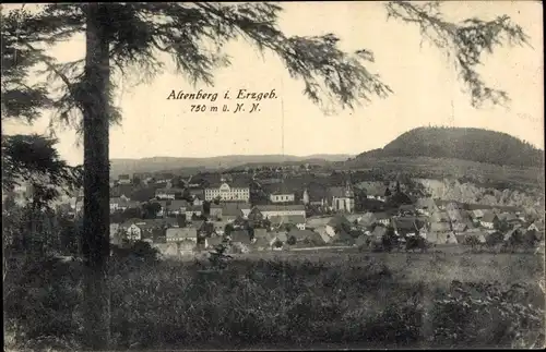Ak Altenberg im Erzgebirge, Gesamtansicht