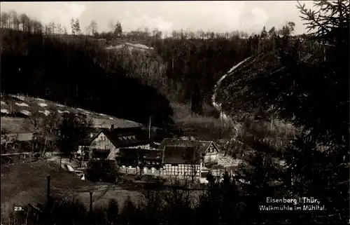 Ak Eisenberg in Thüringen, Walkmühle