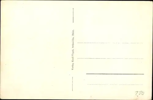 Ak Schmölln Thüringen, Gesamtansicht