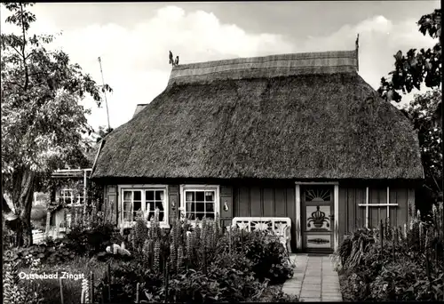 Ak Ostseebad Zingst, Haus mit Garten