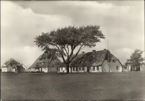 Ak Neuendorf auf der Insel Hiddensee, Häusergruppe