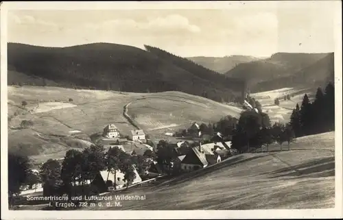 Ak Wildenthal Eibenstock im Erzgebirge, Panorama