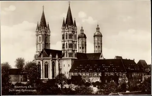 Ak Naumburg an der Saale, Dom und Gymnasium