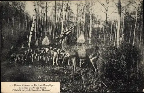 Ak Chasse a courre en Foret de Compiegne, Equipage du Prince Murat, Jagdszene, Hirsch, Hunde