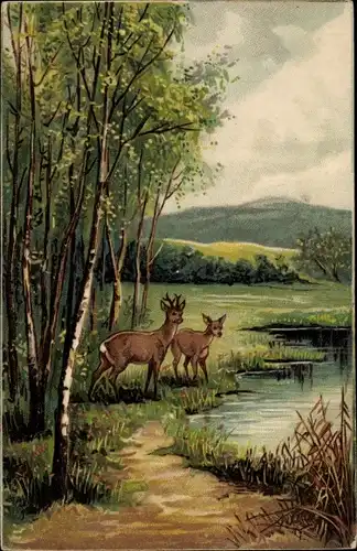 Ak Landschaft mit Rehen