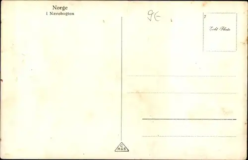 Ak Norwegen, Naerobugten, Dampfer