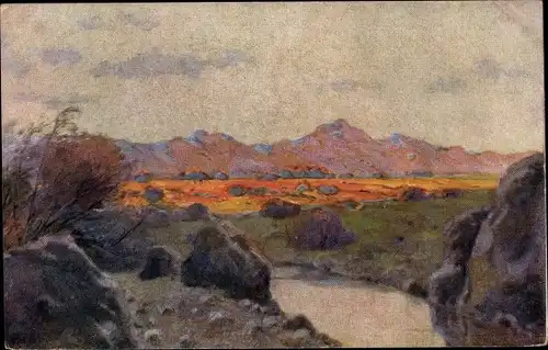 Künstler Ak Müller, P. P., Deutsch Südwest Afrika, Landschaft, Wiese, Berge