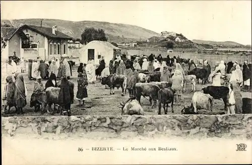 Ak Bizerte Tunesien, Le Marche aux Bestiaux