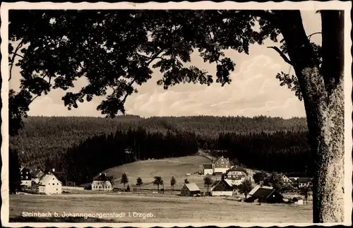 Ak Steinbach Johanngeorgenstadt Erzgebirge, Teilansicht des Ortes