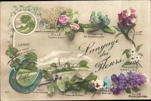 Ak Langage des Fleurs, Rose, Myosotis, Lilas, Marguerite, Pensée, Houx, Lierre