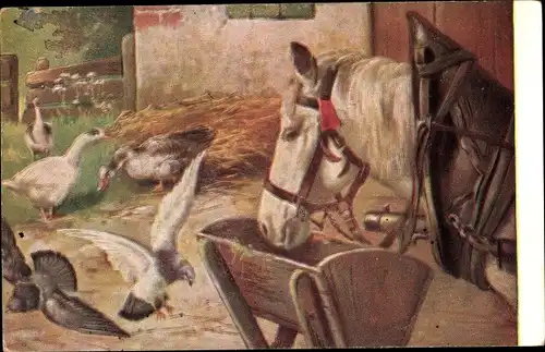 Künstler Ak Zugpferd am Futtertrog, Tauben, Gänse