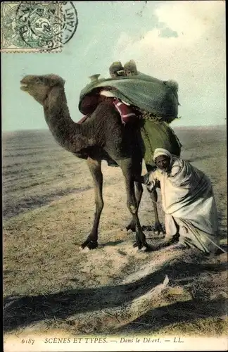 Ak Scenes et Types, Dans le Desert, Kamel, Maghreb