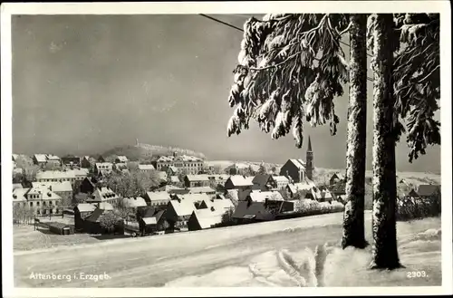 Ak Altenberg im Osterzgebirge, Gesamtansicht im Winter