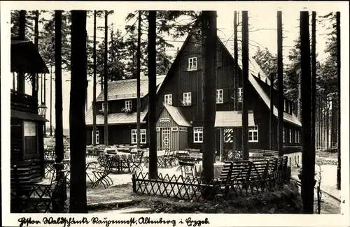 Ak Altenberg im Osterzgebirge, Waldschänke Altes Raupennest, Terrasse