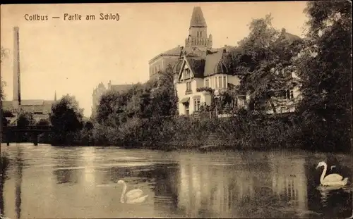Ak Cottbus in der Niederlausitz, Partie am Schloss