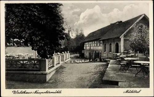 Ak Eisenberg in Thüringen, Waldhaus Naupoldsmühle