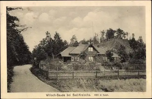 Ak Kreischa bei Dresden, Wilischbaude