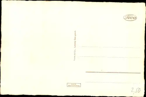 Ak Schmölln in Thüringen, Gesamtansicht
