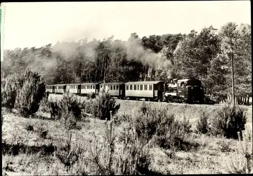 Ak Insel Rügen, Schmalspurbahn Rasender Roland, Personenzug zwischen Garftitz und Sellin