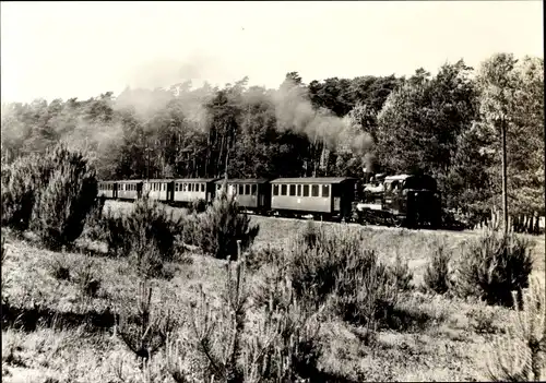 Ak Insel Rügen, Schmalspurbahn Rasender Roland, Personenzug zwischen Garftitz und Sellin