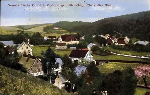 Ak Grund Mohorn Wilsdruff Sachsen, gen. Klein-Tirol, Tharandter Wald, Landschaftsansicht