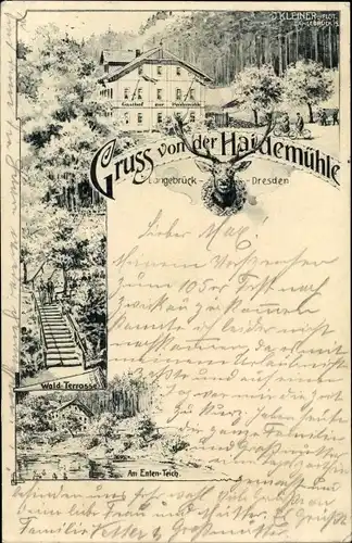 Ak Dresden Langebrück, Haidemühle, Waldterrasse