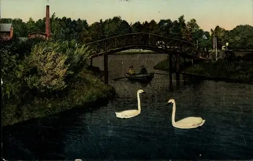 Ak Bad Bramstedt in Holstein, Matthiasbad, Partie im Park, Schwäne