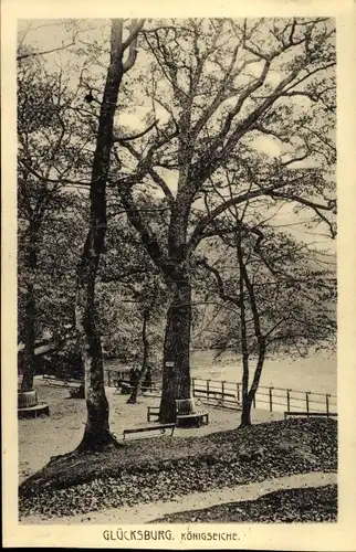 Ak Glücksburg an der Ostsee, Königseiche