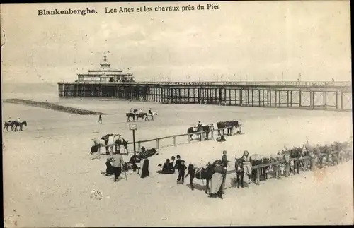 Ak Blankenberghe Blankenberge Westflandern, Les Anes et les chevaux pres du Pier