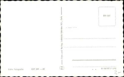 Ak Zwickau Sachsen, Schwanenteich, Steg