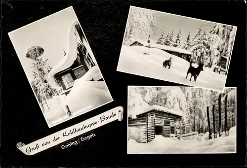 Ak Geising Altenberg im Erzgebirge, Kohlhaukuppe-Baude im Schnee, Hunde, Hütte, Aussichtsturm