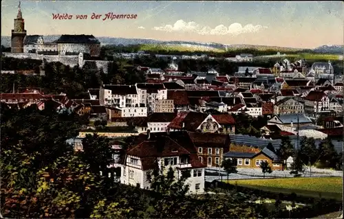 Ak Weida Thüringen, Stadtblick von der Alpenrose, Panorama