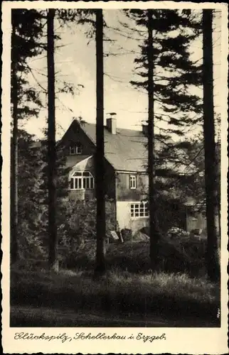 Ak Schellerhau Altenberg im Erzgebirge, Café Glückspilz, Fremdenheim, Wald