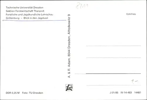 Ak Grillenburg Tharandt, TU Dresden Sektion Forstwirtschaft, Jagdkundliche Lehrschau, Jagdsaal