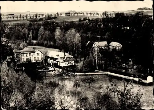 Ak Herzogwalde Wilsdruff in Sachsen, Blick zum Baumann Heim, Wald