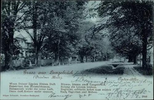 Mondschein Ak  Dresden Langebrück, Lindenallee, Gedicht
