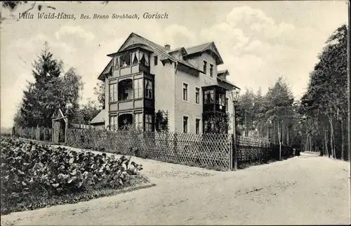 Ak Gohrisch Sächsische Schweiz, Villa Waldhaus