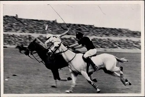 Sammelbild Olympia 1936, Polospiel Argentinien gegen Mexiko auf dem Maifeld